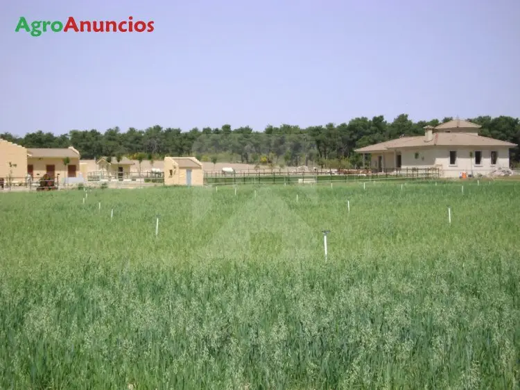 Finca Hipica Agropecuaria Avila