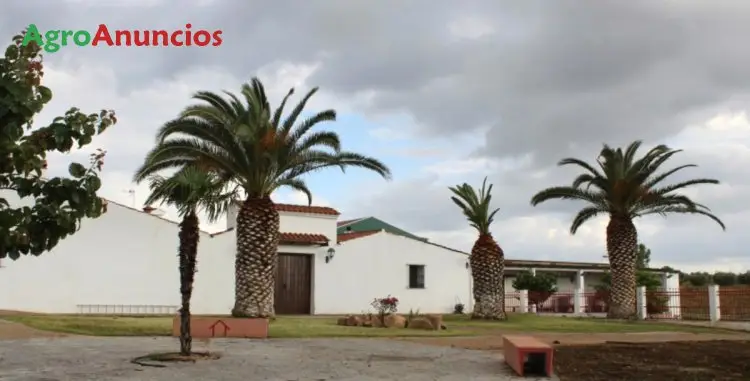 Venta  de Finca de recreo con olivos y viñedos en Badajoz