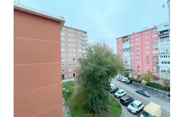 Alquiler Apartamento 5 Dormitorios Madrid