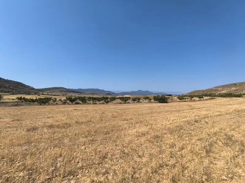 Terreno en Venta Jumilla Murcia 14000m2 con Vistas