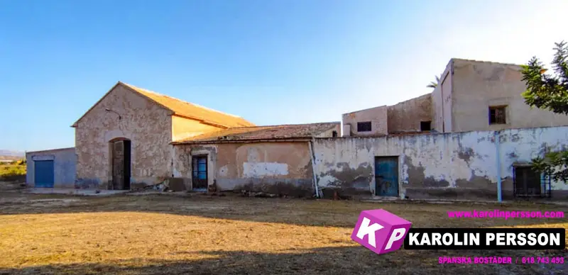 Venta Chalet 11600m2 Pedanies Elche 5 Dormitorios 6 Banos Piscina