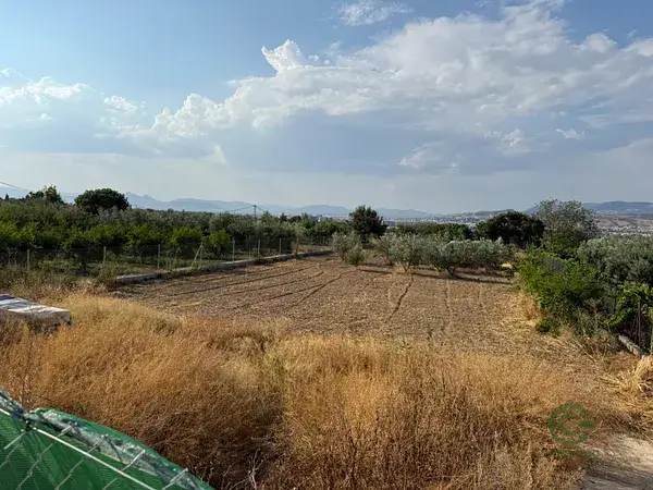 Parcela Rustica en La Zubia 1683m2 Llanos Agua y Luz