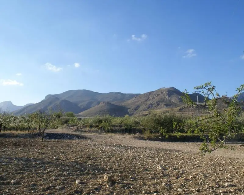 Hermosa Parcela en Venta La Parroquia Lorca Murcia