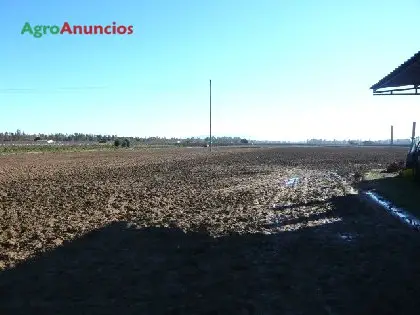 Venta  de Finca de regadío en Badajoz