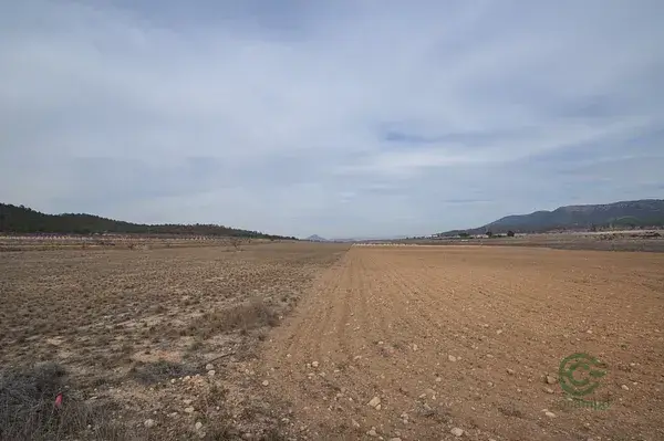Parcela Rustica 23160m2 Vistas Montanas Monovar