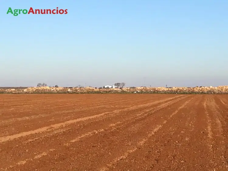 Venta  de Finca de regadío en Ciudad Real