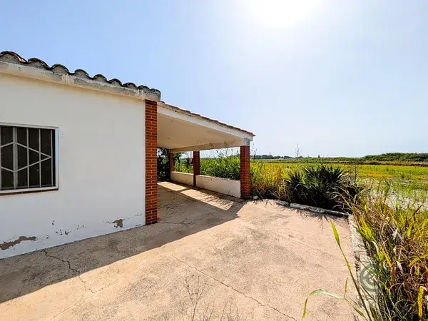 Casa de Campo en Delta del Ebro con 85 Jornales de Arroz