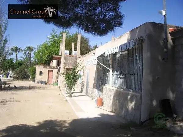 Venta Finca Rustica 10000m2 Novelda Alicante