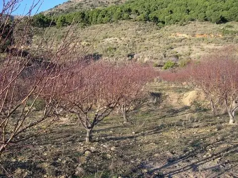Terreno en Venta Canillas de Albaida Vistas Panoramicas