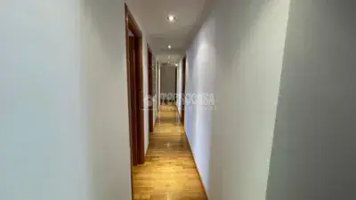Alquiler Piso 3 Dormitorios Talavera Reina Tres Olivos