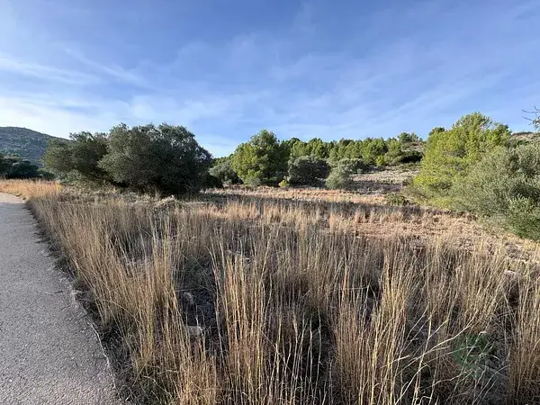 Terreno Rustico Benissa 10154m2 Construccion Vivienda