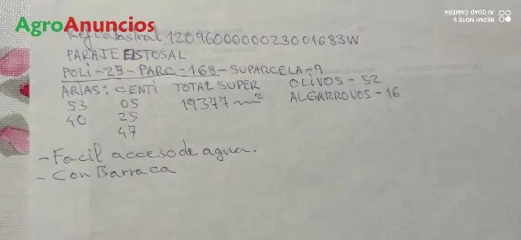 Venta  de Fincas con almacenes y maquinaria en Castellón