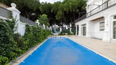 Chalet de Lujo en Jerez Norte 7 Dormitorios 7 Baños