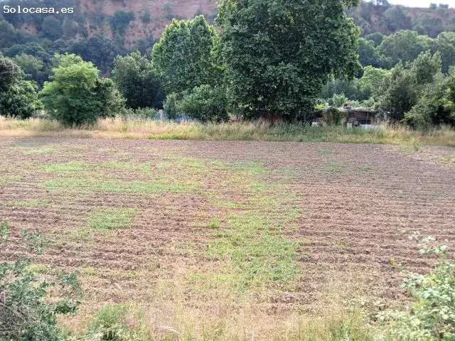 Finca Rustica Agraria 3500m2 El Rieral