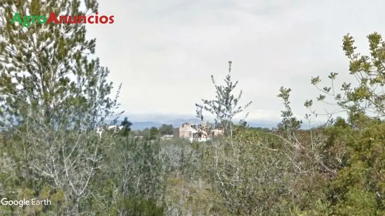 Venta  de Finca rústica con vivienda unifamiliar en construcción en Castellón