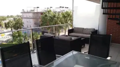 Atico en Alquiler en Oliva Nova: Apartamento con Terraza y Solarium
