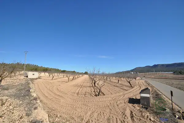 Terreno Agricola con Almendros en Monovar