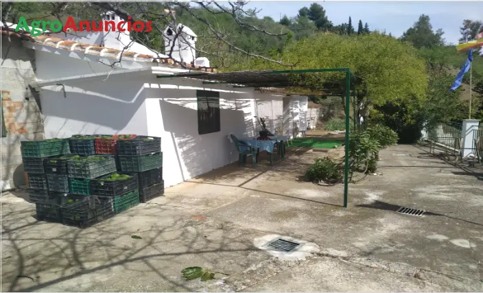 Venta  de Finca de aguacates en Málaga