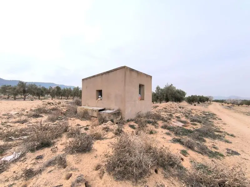 Parcela Agricola con Olivar en Villena