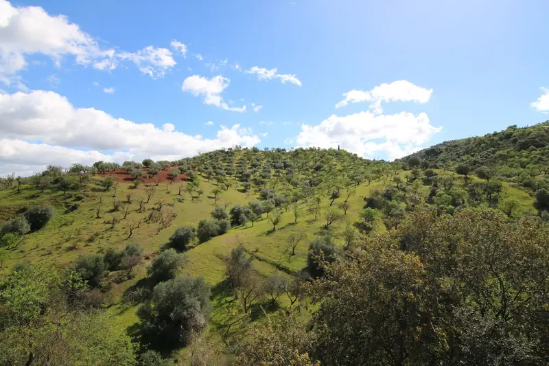 Terreno Rustico en Venta Guaró España
