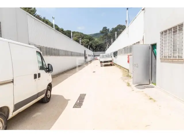 Venta Fincas Rusticas Mataro Alta Rentabilidad