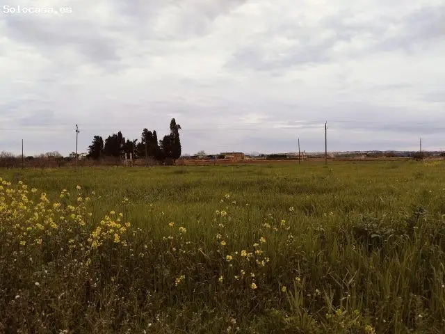 Finca en Sa Pobla 18671m2 Edificable con Caseta 200m2