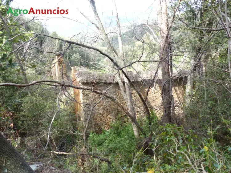 Venta  de Finca en plena naturaleza con dos ruinas en Barcelona