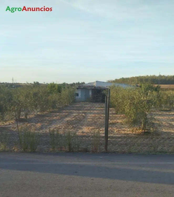 Venta  de Terreno de regadío en Badajoz