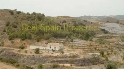 Finca Rústica con 26 Habitaciones en Vélez-Rubio