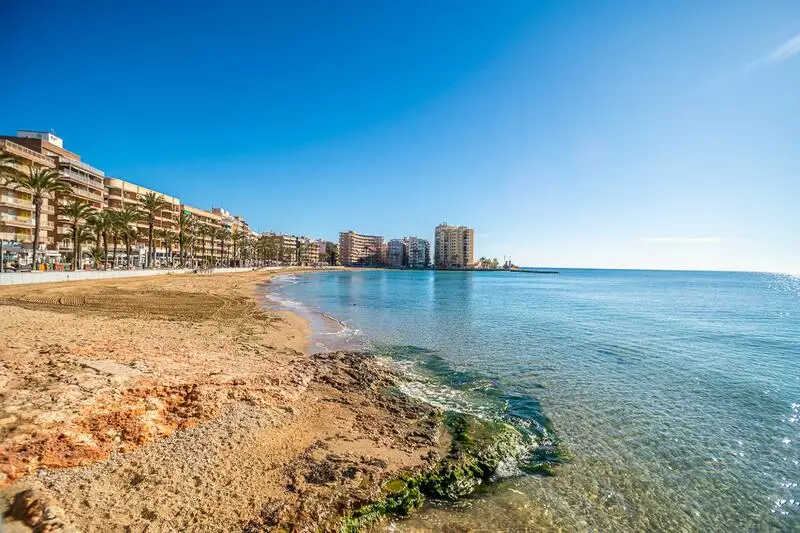 3 Cuarto Apartamento para alquiler a largo plazo
Torrevieja, Alicante