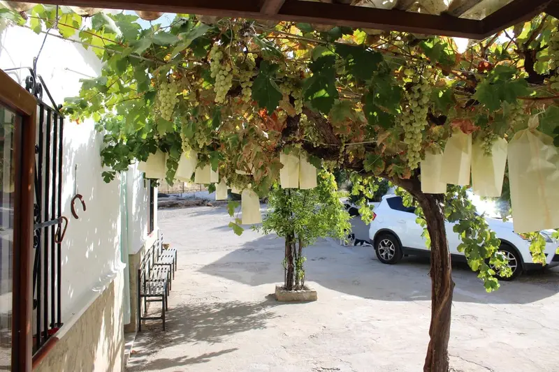 Casa Rural con Molino Antiguo en El Gastor Vistas al Lago