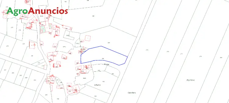 Venta  de Terreno de secano en Ourense