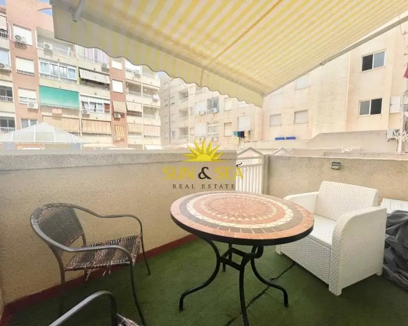 Estudio en Alquiler Torrevieja Centro Primera Linea de Playa