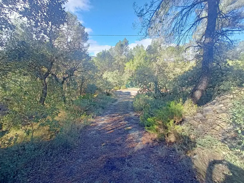 Venta Terreno Rustico Alcoy Estepar 2548m2