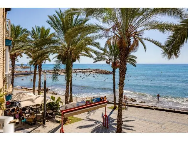 Apartamento en Torrevieja Primera Linea de Playa