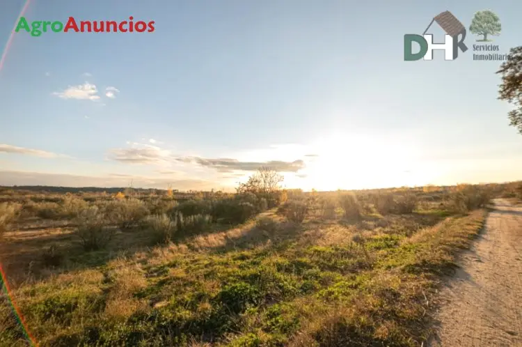 Venta  de Finca rústica de uso ganadero y agrario en Madrid