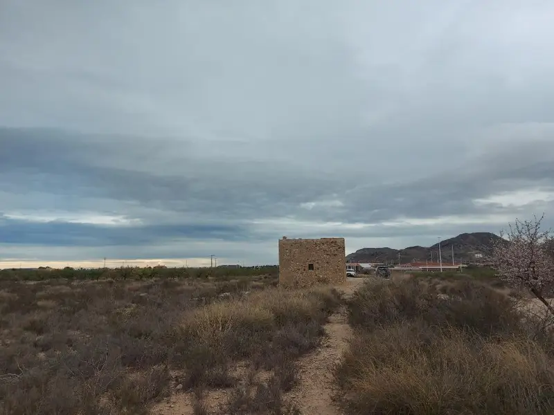 Venta Terreno Rustico Agost Vistas al Mar
