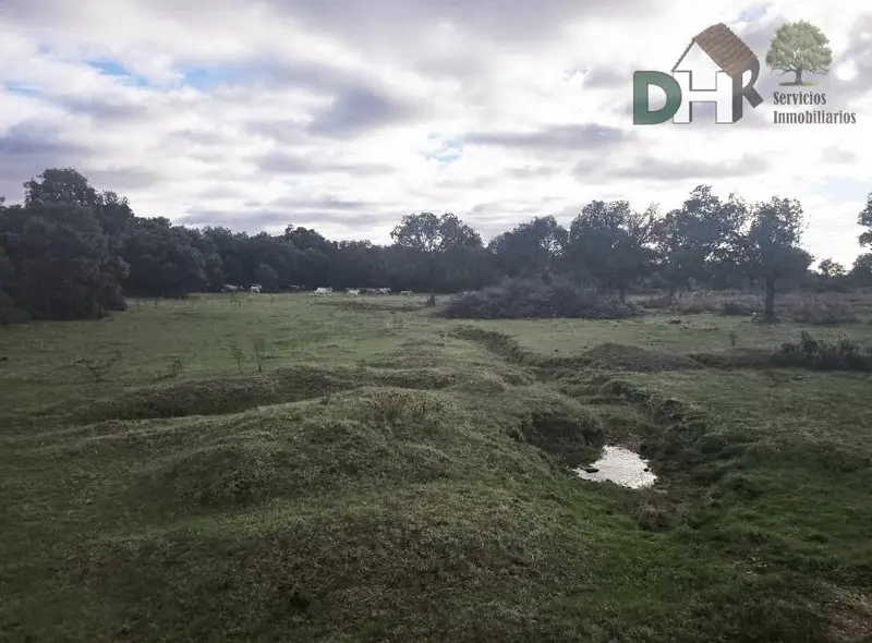 Venta Finca Rustica Salamanca 240 Hectareas
