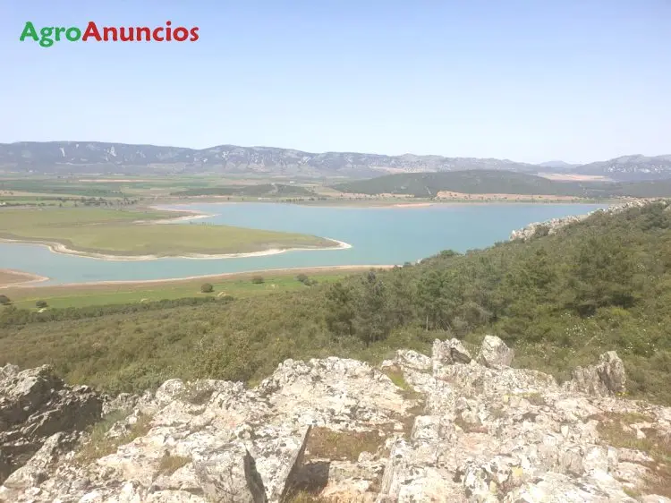 Venta  de Finca ganadera en Ciudad Real