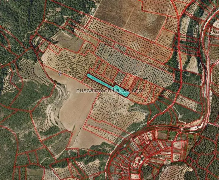 Parcela Rustica en Venta en Cretas con Olivos