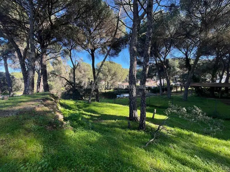Parcela Rustica en Venta en Cerro Muriano Cordoba
