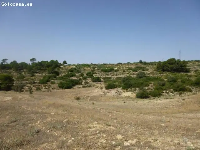 Terreno Rustico 11 Hectareas Almansa