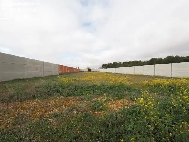 Solar en Venta Tomelloso 3250m2  Poligono 20