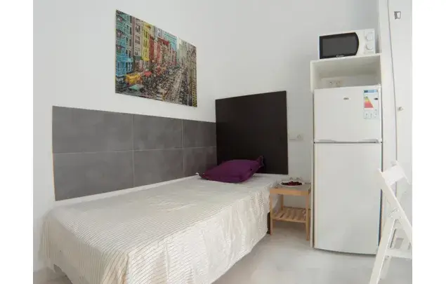 Rent 8 bedroom apartment in Madrid