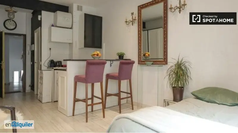 Estudio Amueblado en Alquiler Callao Madrid