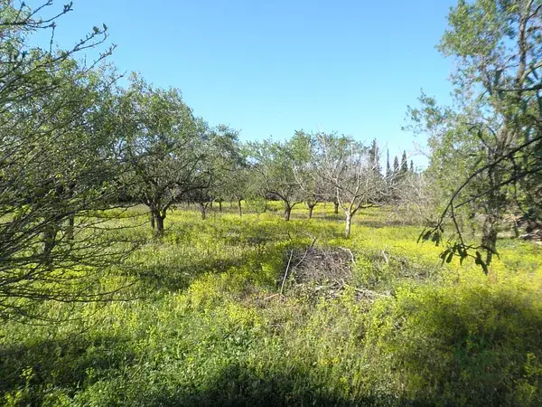 Parcela Rustica en Aldover Tarragona 4154m2