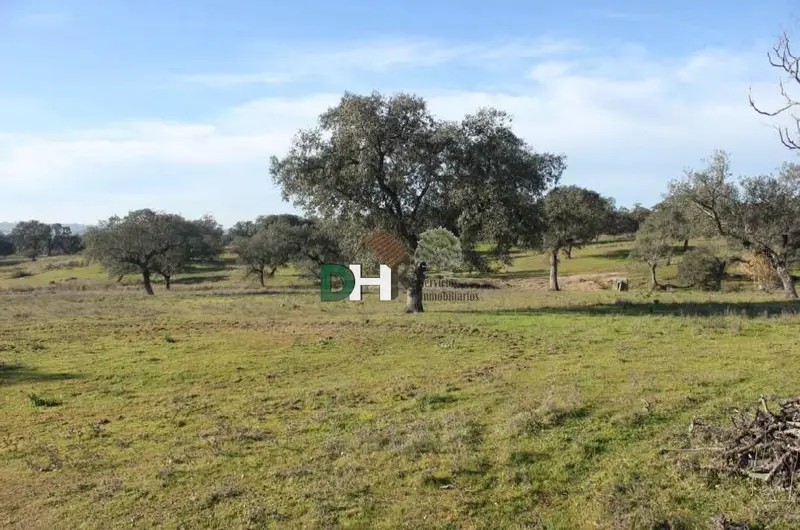 Venta Finca Rustica 113 Hectareas Badajoz