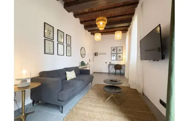 Estudio 50m2 Barcelona Aire Acondicionado Amueblado