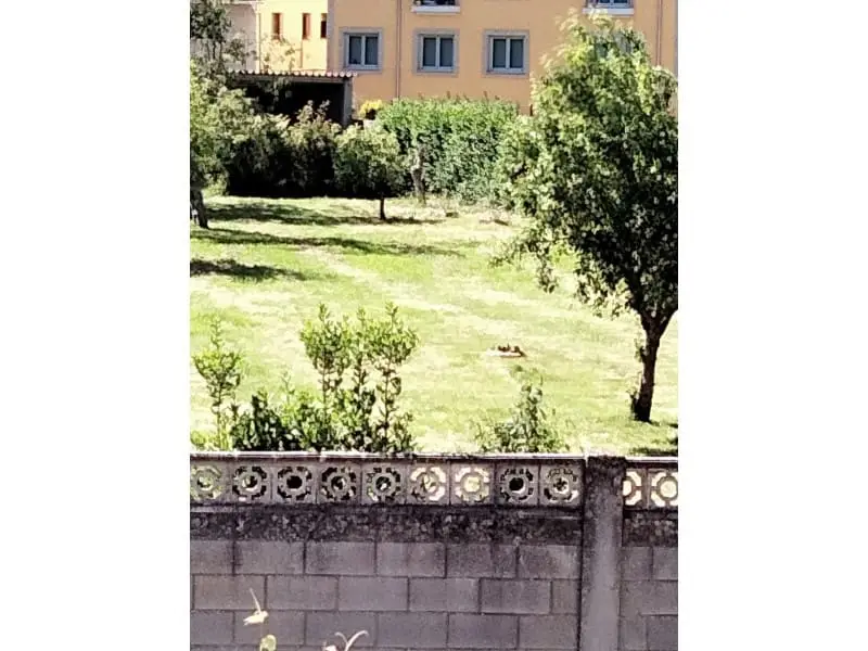 Finca Rustica en Venta en Ares A Coruna