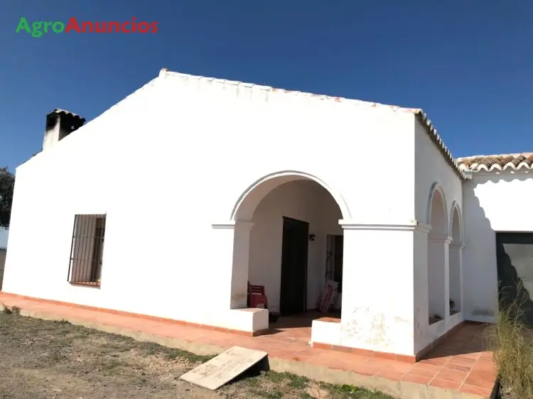 Venta  de Finca ganadera en Ciudad Real